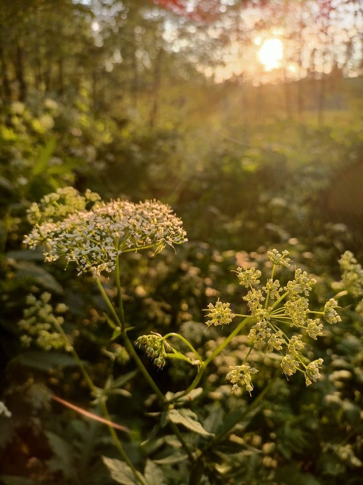 Photograph by Татьяна Скворцова