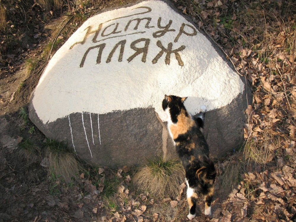 Написано не разборчиво / The writing is not legible