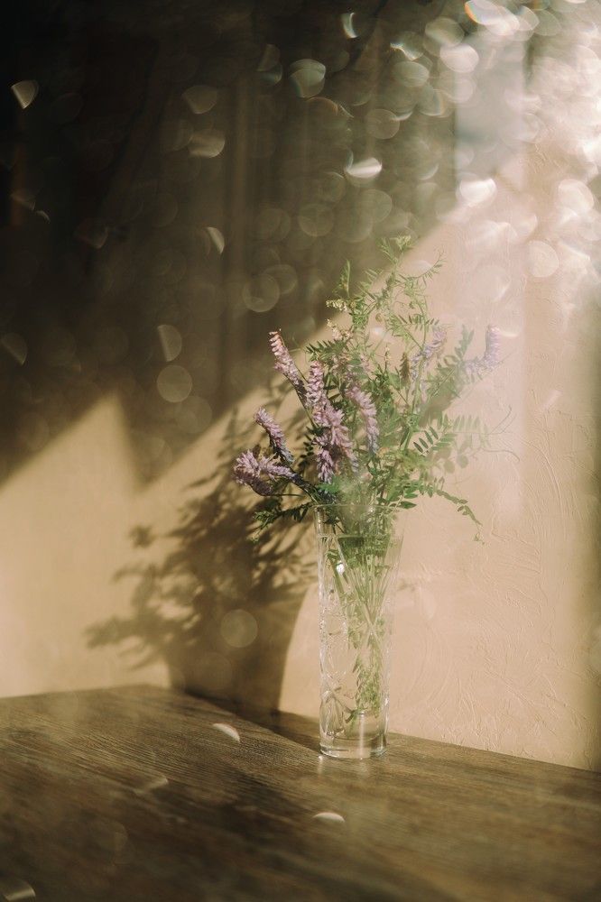 Photograph by Елена Лисина