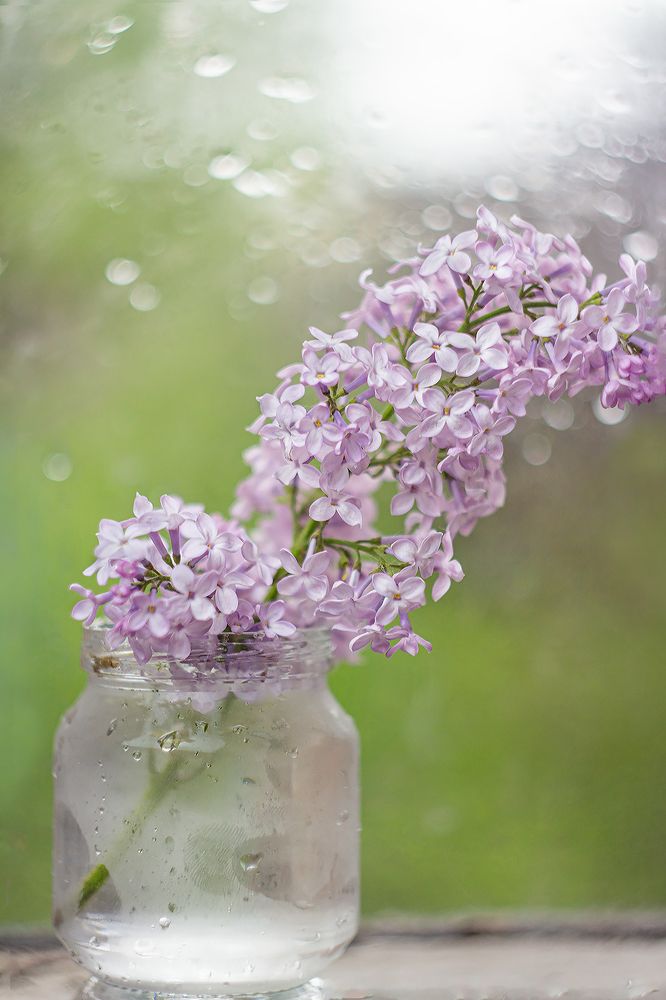 Photograph by Ольга Сидорова