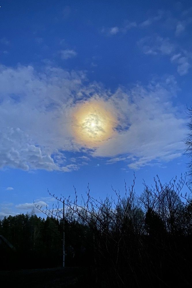 Photograph by Елена Лисина