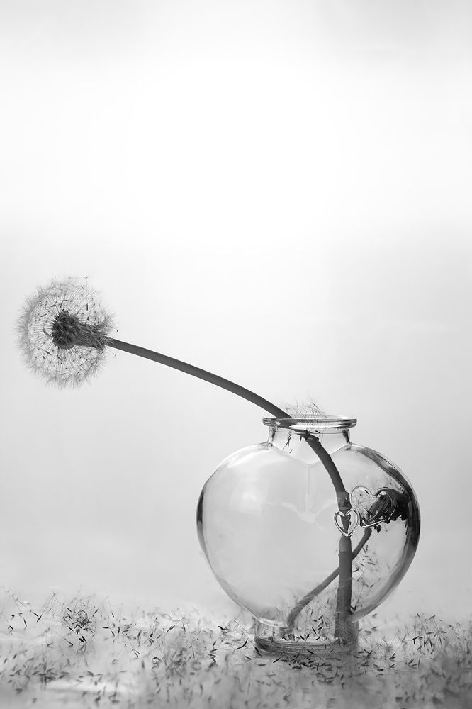 Photograph by Ольга Сидорова