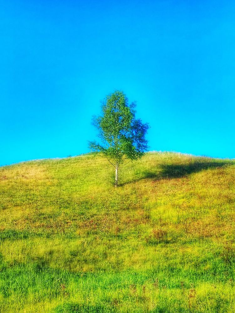 Photograph by Виктория Мамлеева