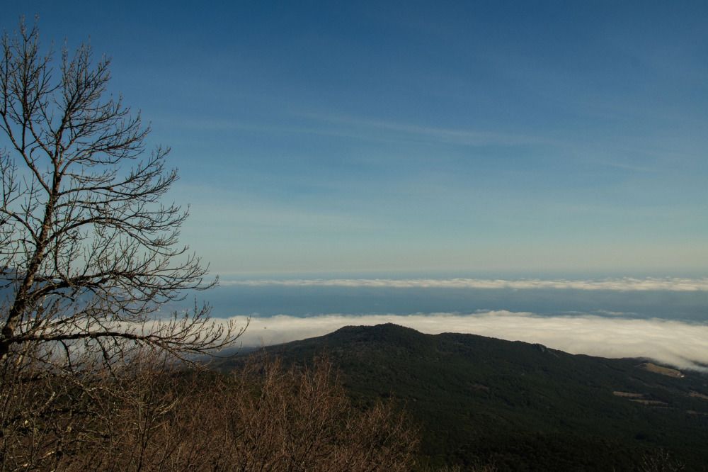 Photograph by Екатерина Игоревна