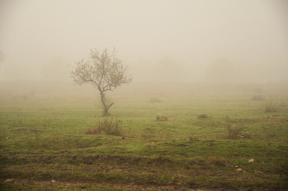 Photograph by Екатерина Игоревна