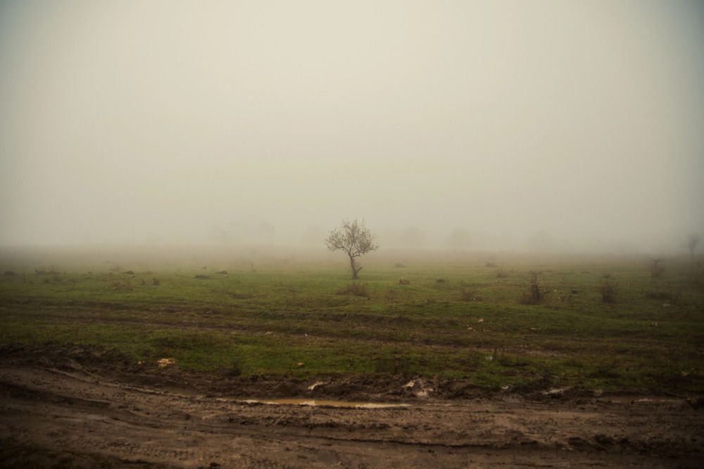 Photograph by Екатерина Игоревна