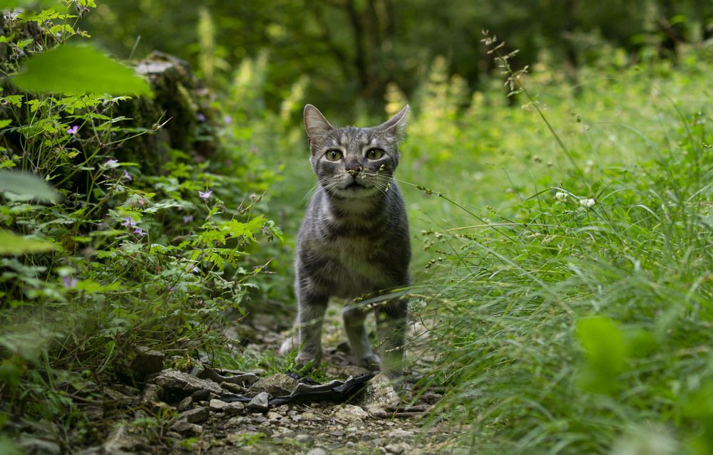 Photograph by Анастасия Морозова