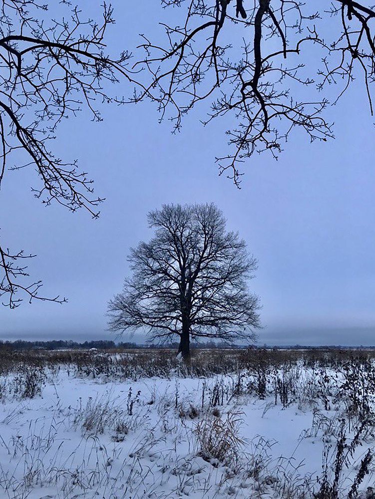 Photograph by Шестакова Наталья