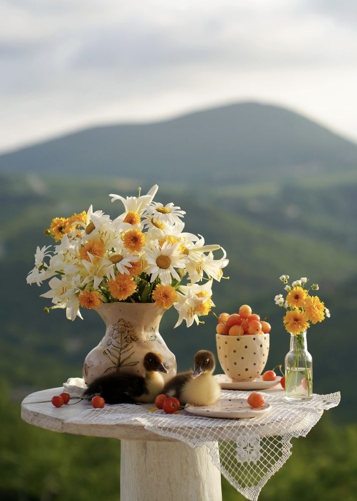 Photograph by Катерина Глизнуца