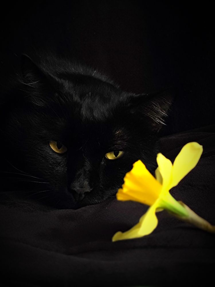 Photograph by Ruban Elena