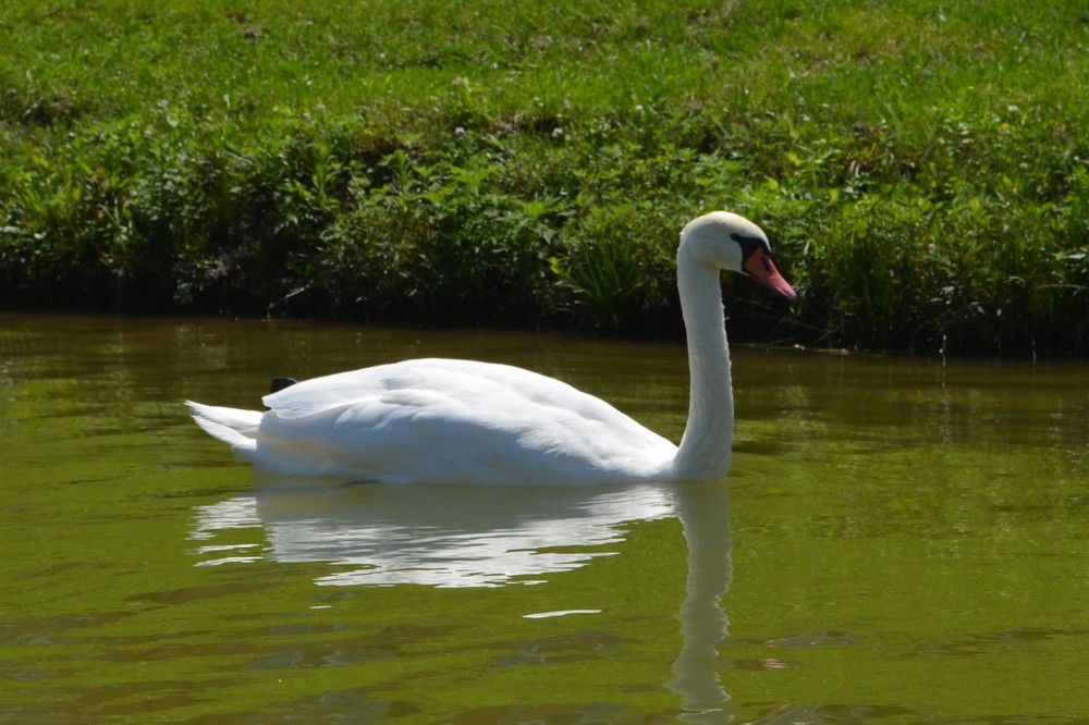 Фотография автора Геннадий Горелов