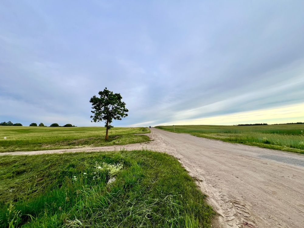 Photograph by Алексей Большаков