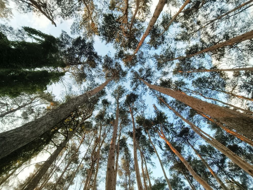 Photograph by Halina Basyanok