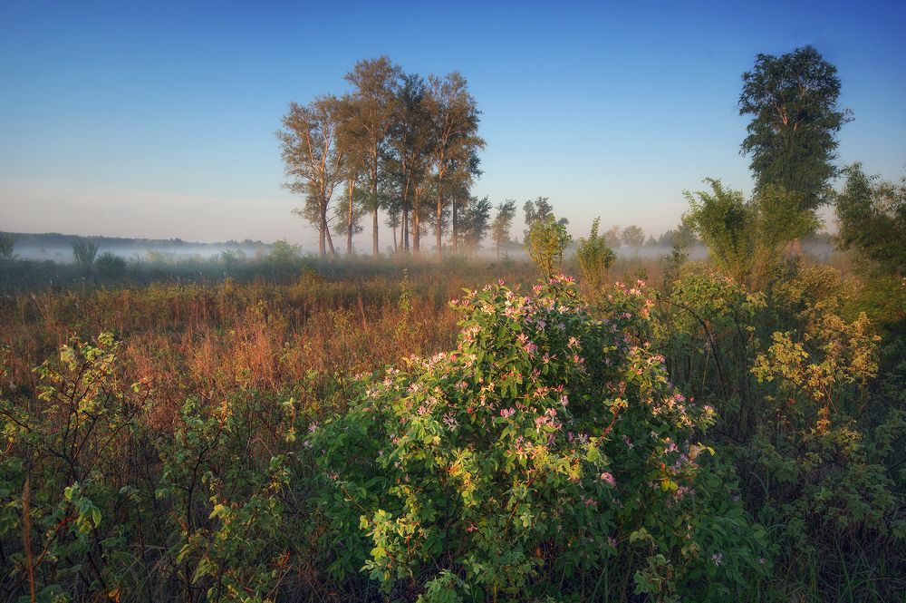 Photograph by Чичкин Валерий