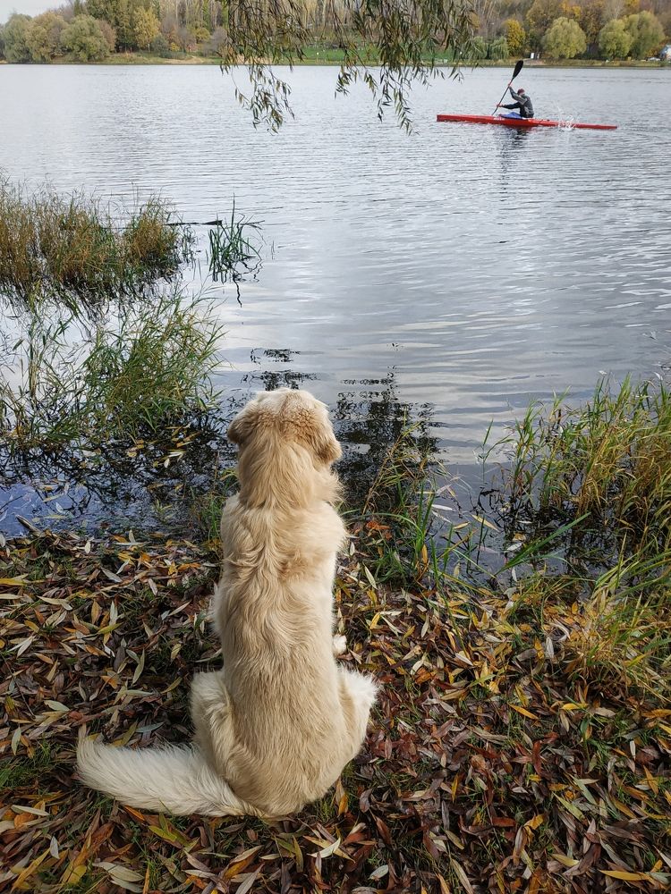 Photograph by Ольга Вороная