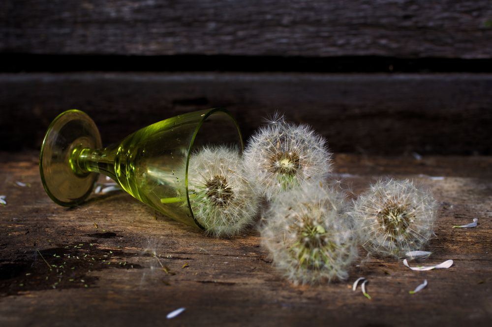 Photograph by Рощина Любовь