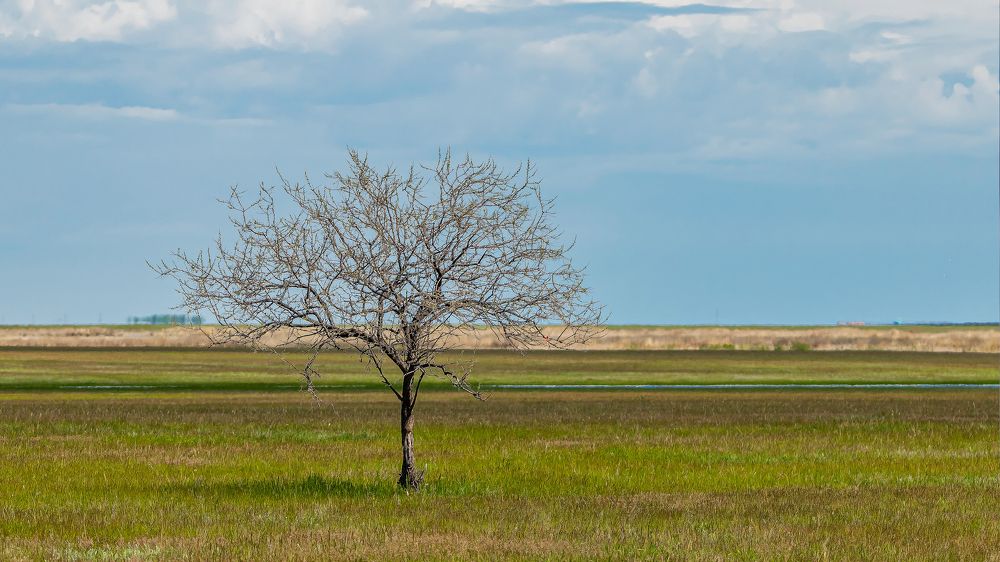 Photograph by Олег Белан