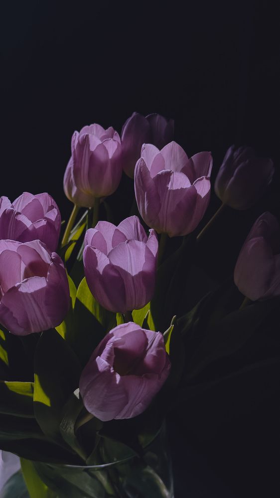 Фотография автора Svetlana Siniakova