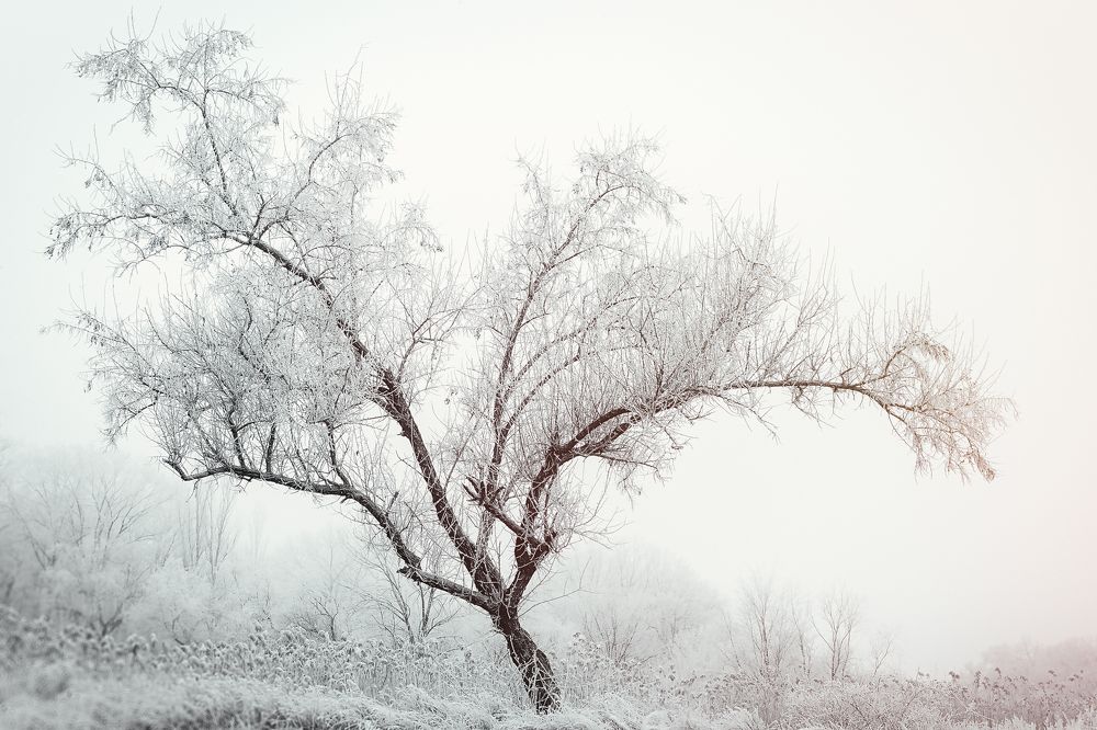 Photograph by Дёгтев Евгений