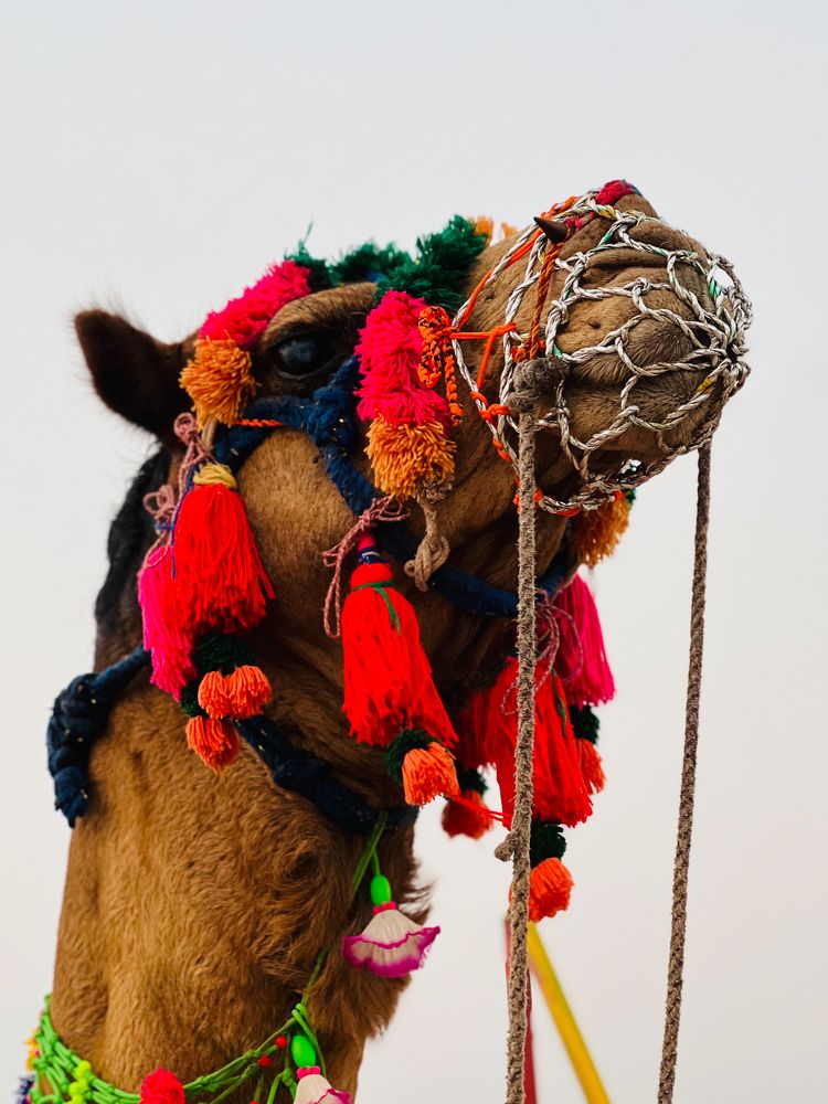 Photograph by Tinu Aryan