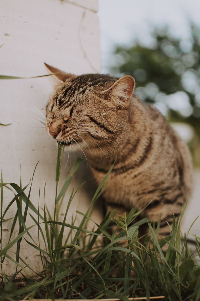 Photograph by Екатерина Дружининская