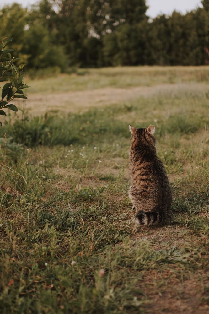 Photograph by Екатерина Дружининская
