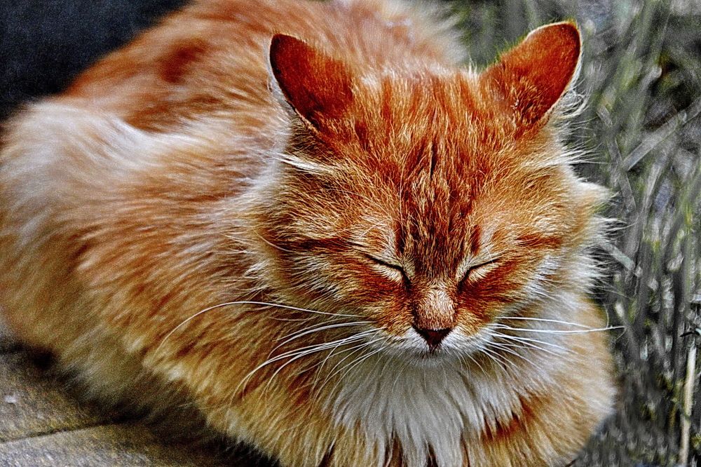 Photograph by Вадим Гераскин