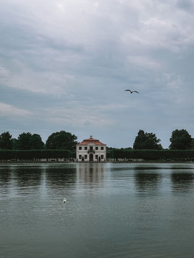 Photograph by Светлана Гошарова