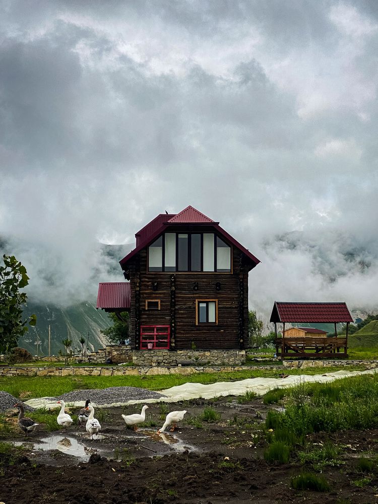 Photograph by Светлана Гошарова