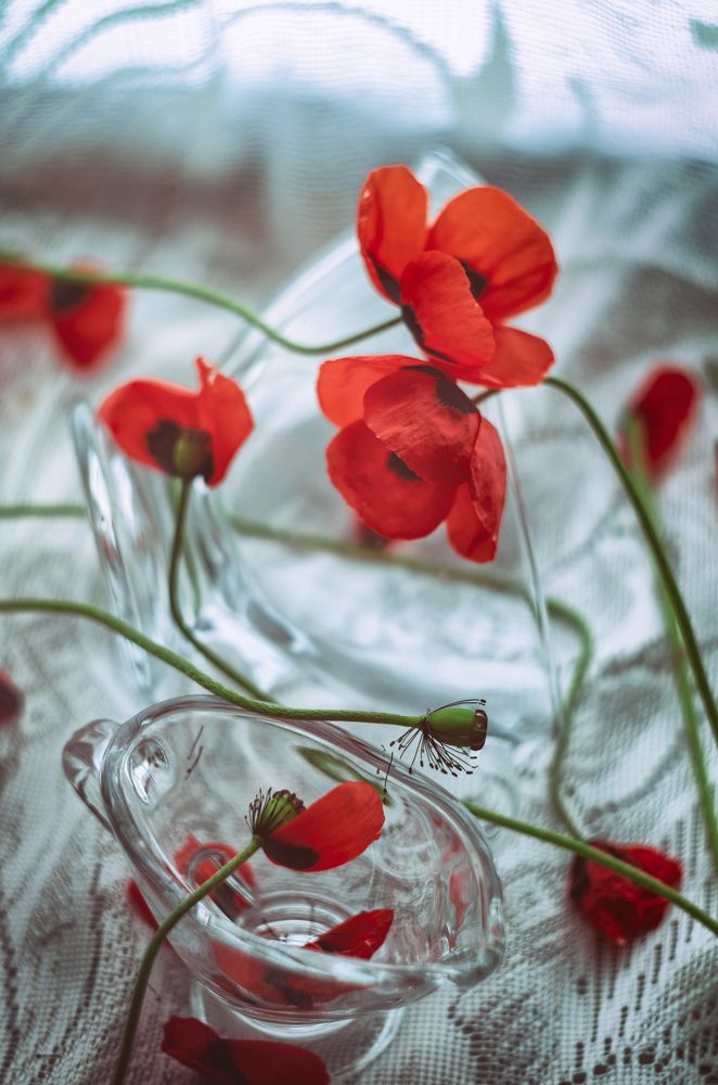 Цветочная фантазия