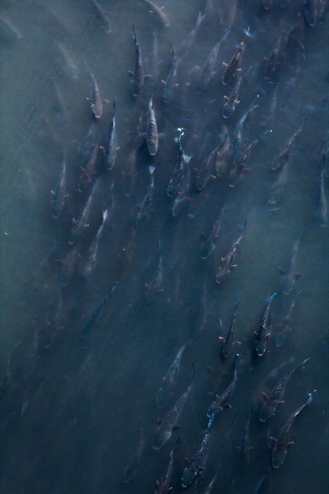 Photograph by Hannah