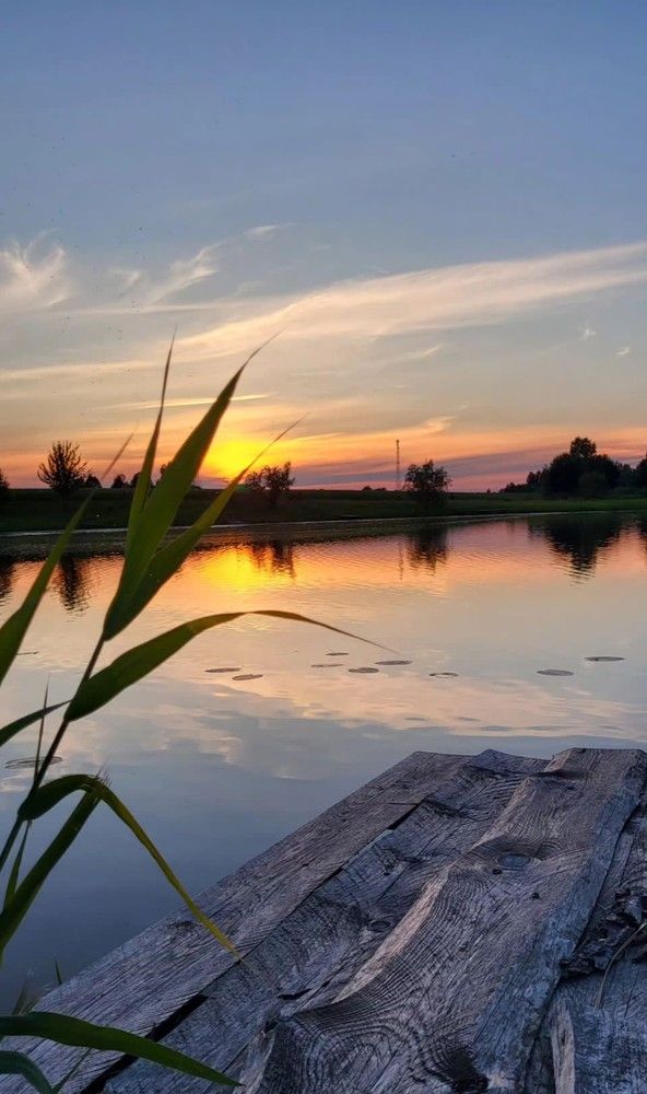 Photograph by Алла Узкая