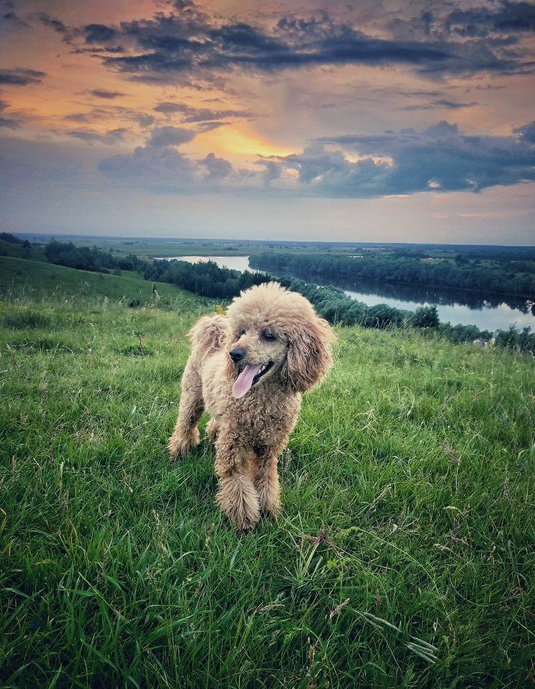 Photograph by Ольга Мартьянова