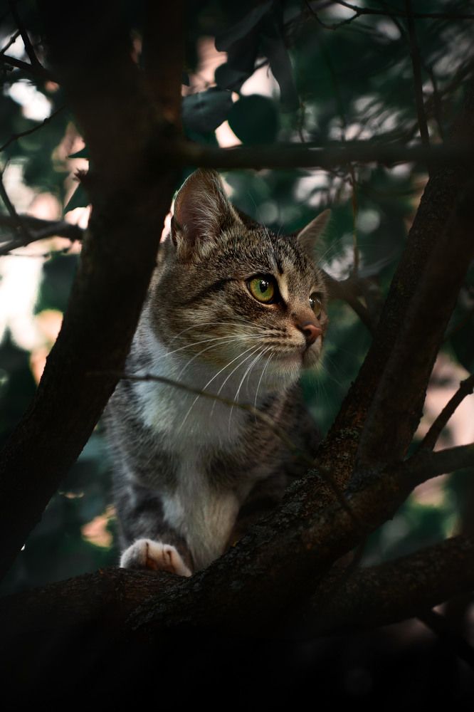 Photograph by Александр Быдрицкий