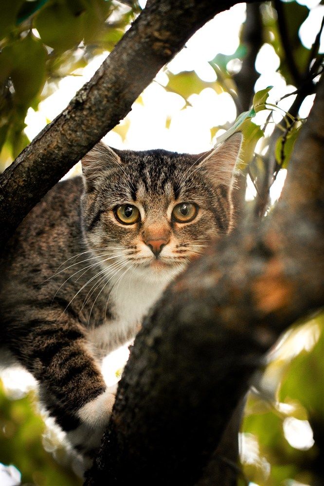 Photograph by Александр Быдрицкий