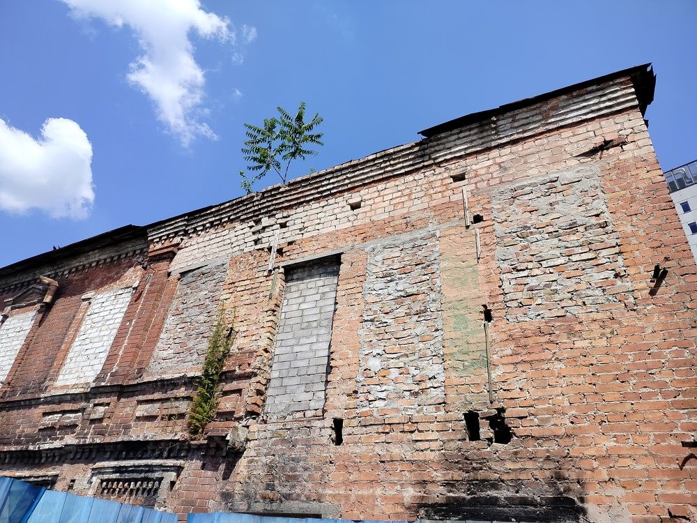 Photograph by Адамян Анна