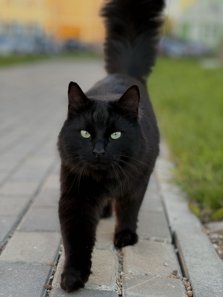 Фотография автора Вера