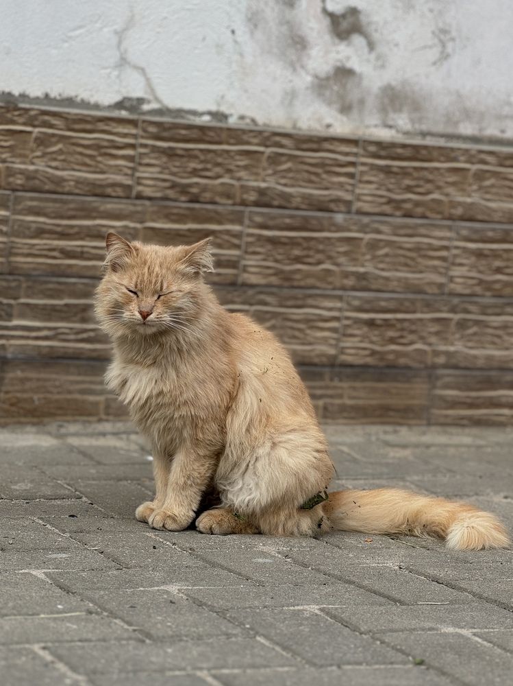 Фотография автора Вера