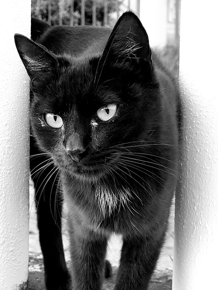 Photograph by Максим Сундеев