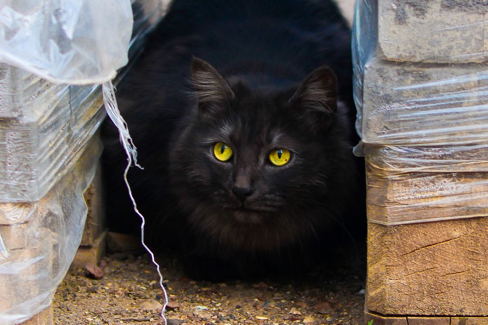 Photograph by Олеся Постнова