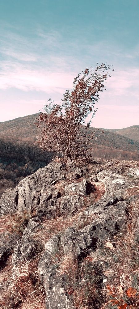 Photograph by Максим Сундеев