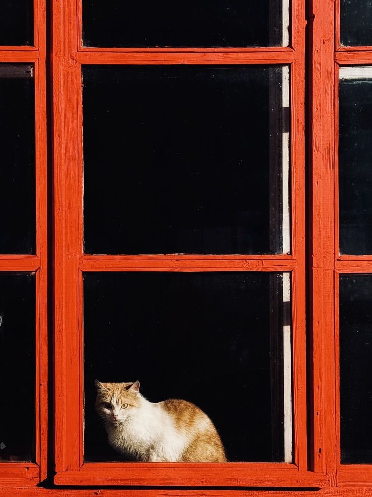 Фотография автора Вера