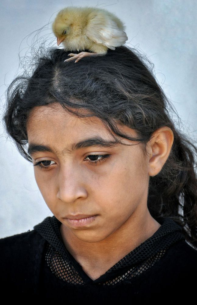 Photograph by الساعدي غيث