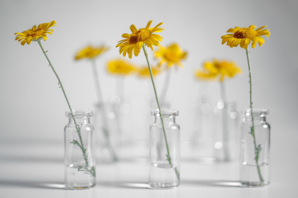 Photograph by Владимир Тузлай