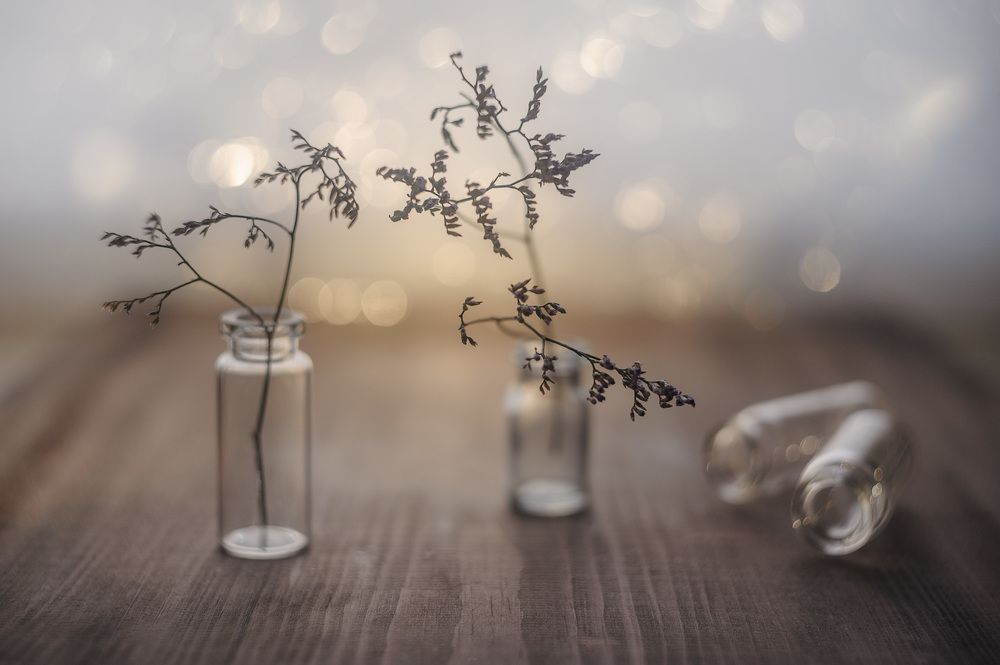 Photograph by Владимир Тузлай