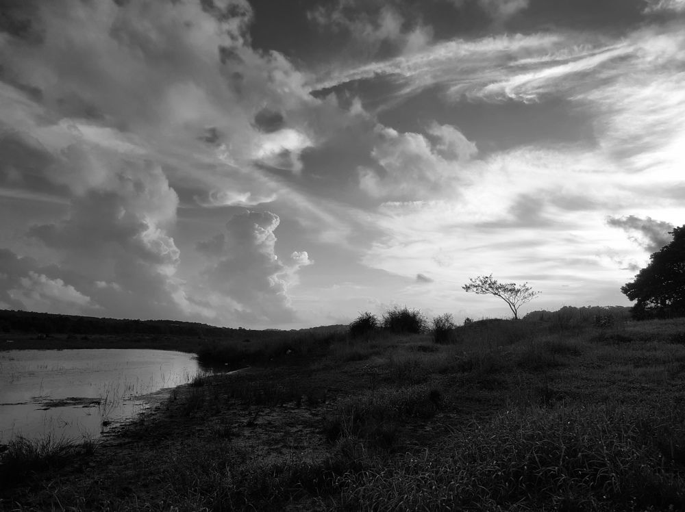 Photograph by Afnida m