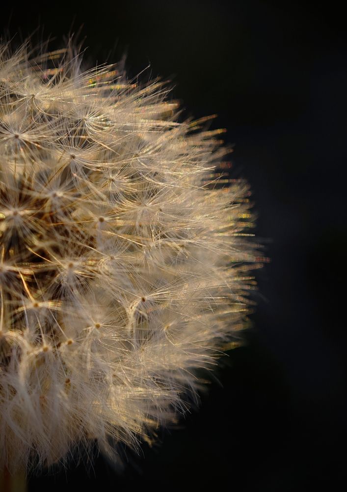 Фотография автора Вера Красюкова