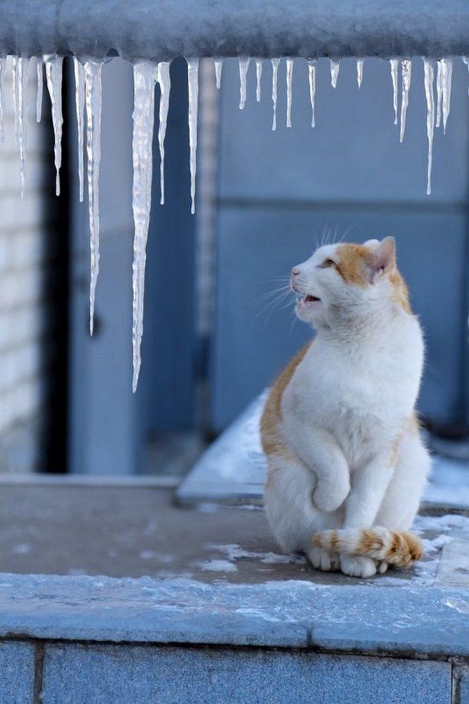 Photograph by виктор ковчин