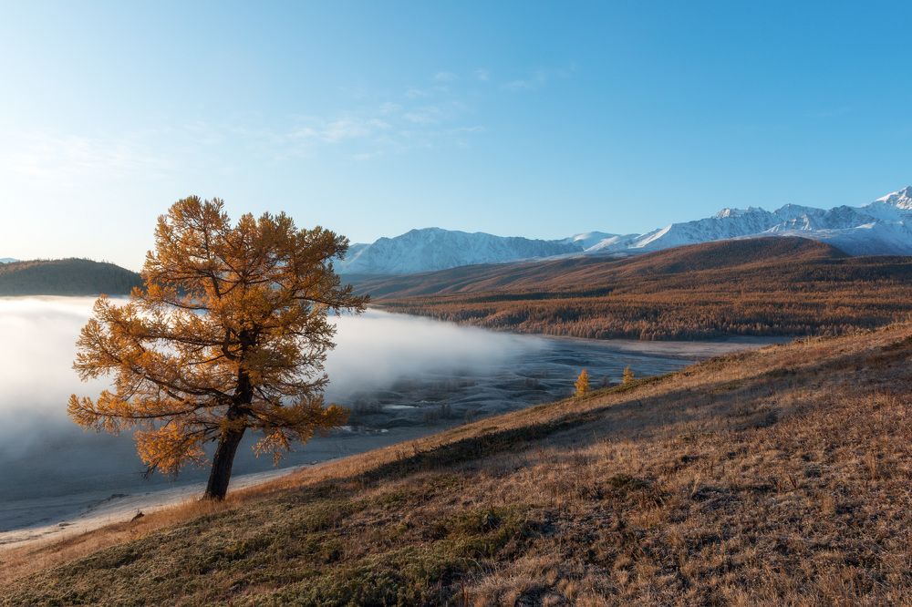 Photograph by Сергей