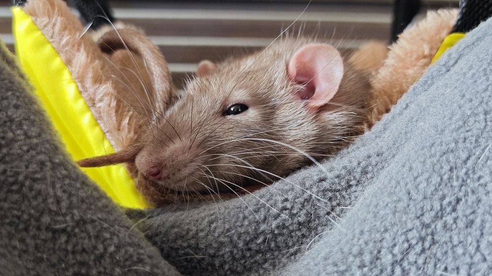 Photograph by Татьяна Огаркова